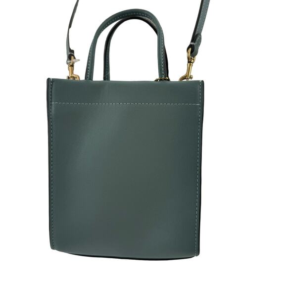 NWT Coach Sage GLTN Cashin tote Crossbody bag - Picture 2 of 14